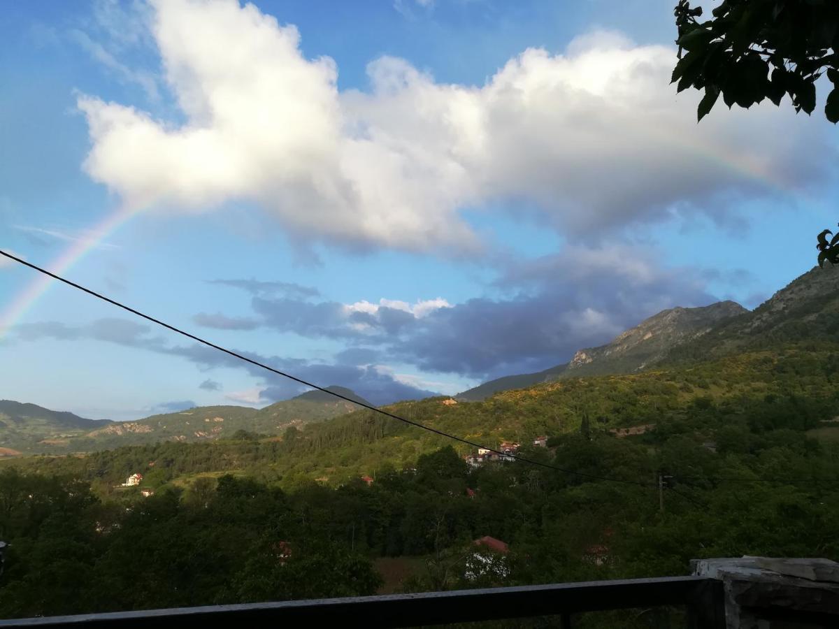 Plataniotissa Mansion Villa Kalavryta Dış mekan fotoğraf